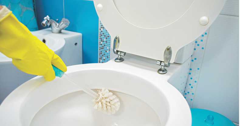 starpluscleaning deep toilet cleaning